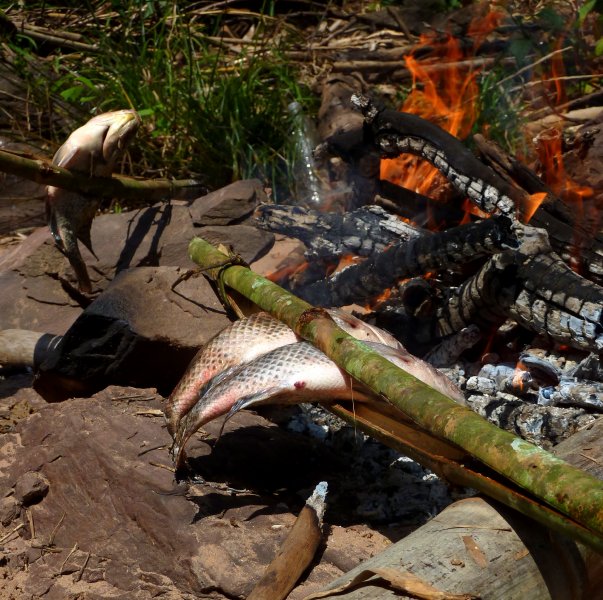 Fish barbecued on an open fire